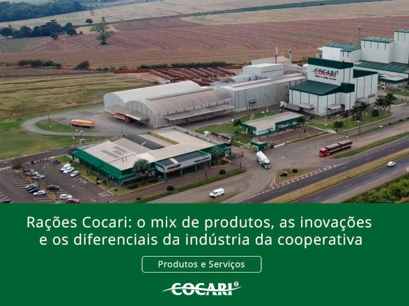 cocari 19 09 2025