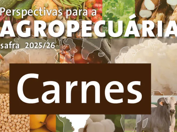 Produção das três principais proteínas no país atinge 32,3 milhões de toneladas impulsionada por recorde de carne de frango e suína