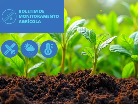 Bons volumes de chuva favorecem cultivos de inverno, aponta Boletim da Conab