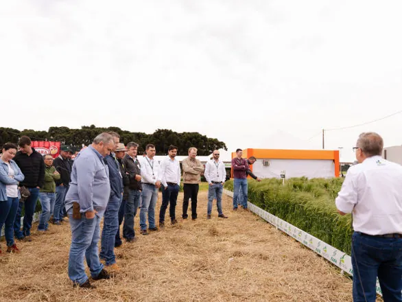 Pesquisa, mercado e inauguração no foco do primeiro dia do WinterShow 2025