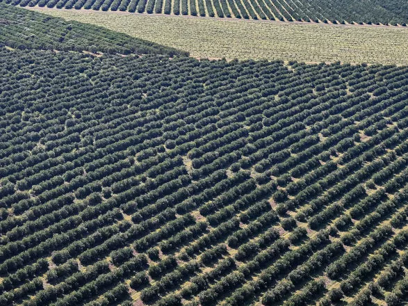 Paraná é o estado que mais destinou recursos para a agricultura em 2025