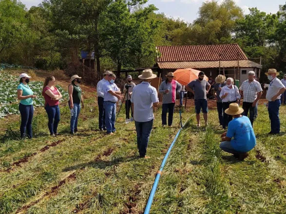 IDR-Paraná abre inscrições para PSS com 173 vagas em diversas áreas do campo 