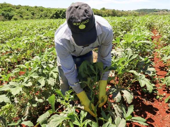 Painel Agropecuária Paranaense amplia divulgação sobre crescimento da produção