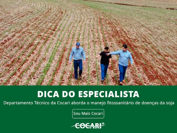 cocari 21 10 2025
