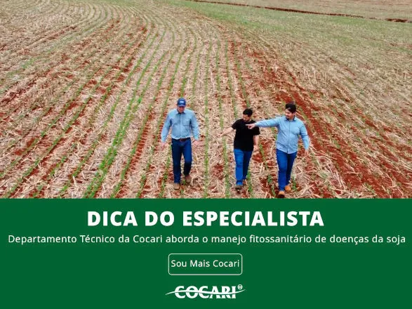 Dica do Especialista – Departamento Técnico da Cocari aborda o manejo fitossanitário de doenças da soja 