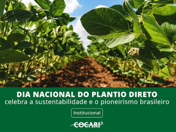Dia Nacional do Plantio Direto celebra a sustentabilidade e o pioneirismo brasileiro