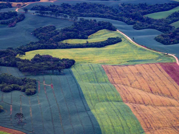 TRF4 mantém vitória do Paraná sobre legislação ambiental e dá segurança aos agricultores paranaenses