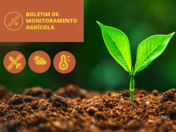Volumes de chuvas irregulares e mal distribuídos impactam ritmo da semeadura dos cultivos de verão