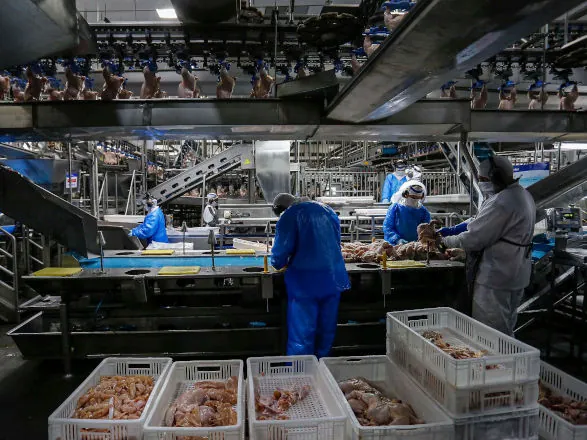 Paraná retira carnes de aves cozidas da ST e aumenta competitividade do setor