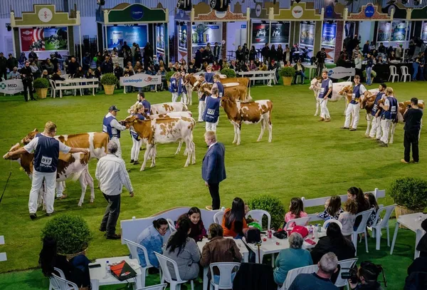 ExpoFrísia tem nova data a partir de 2026
