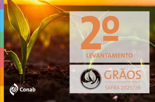 Produção de grãos é estimada pela Conab em 354,8 milhões de toneladas na safra 2025/26
