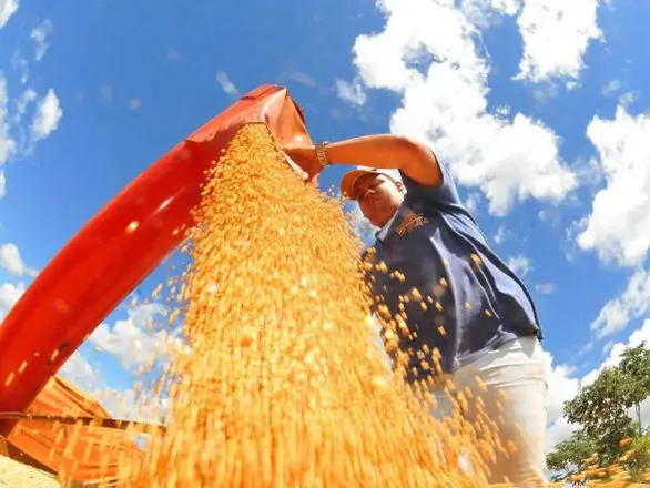 Agropecuária ajudou oito estados a crescerem mais que o Brasil em 2023