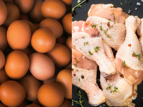 União Europeia confirma em carta oficial o retorno do pre-listing para estabelecimentos brasileiros de carne de aves e ovos