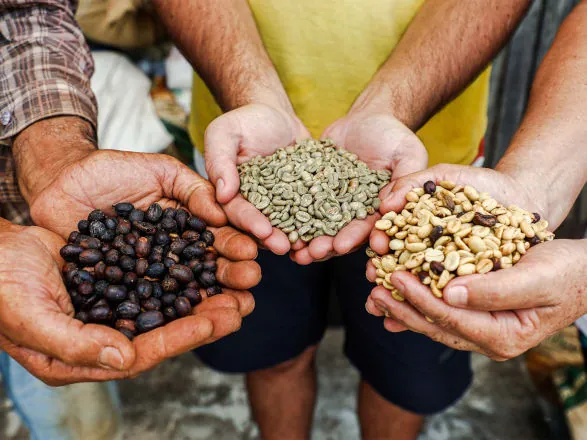 Concurso Café Qualidade Paraná: vencedores de 2025 saem nesta terça-feira