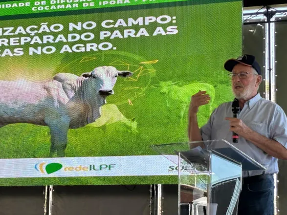 Com 230 participantes, Cocamar promove Dia de Campo sobre ILPF 
