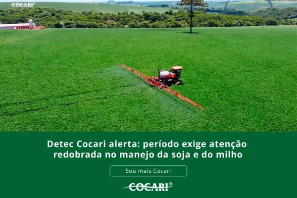 Detec Cocari alerta: período exige atenção redobrada no manejo da soja e do milho