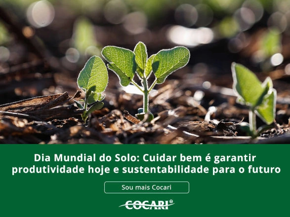 cocari II 05 12 2025
