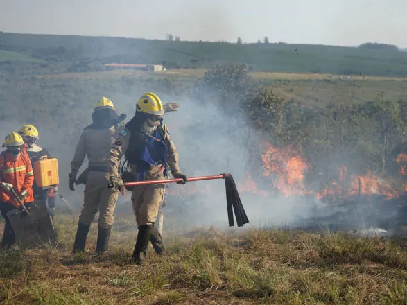 Chuvas e conscientização da população reduzem em 41% incêndios florestais no Paraná
