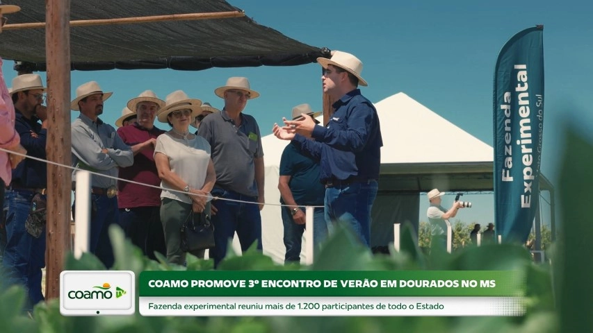 coamo 08 12 2025