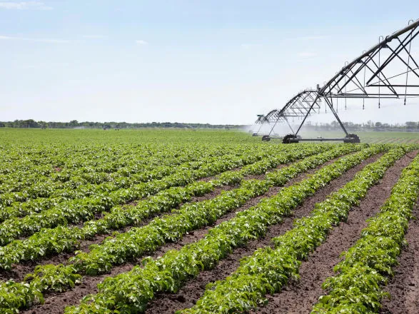 Sicredi Dexis amplia crédito para irrigação e incentiva modernização no campo