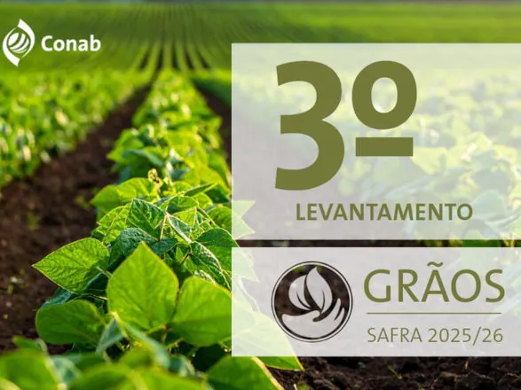 Produção de grãos na safra 2025/26 está estimada em 354,4 milhões de toneladas