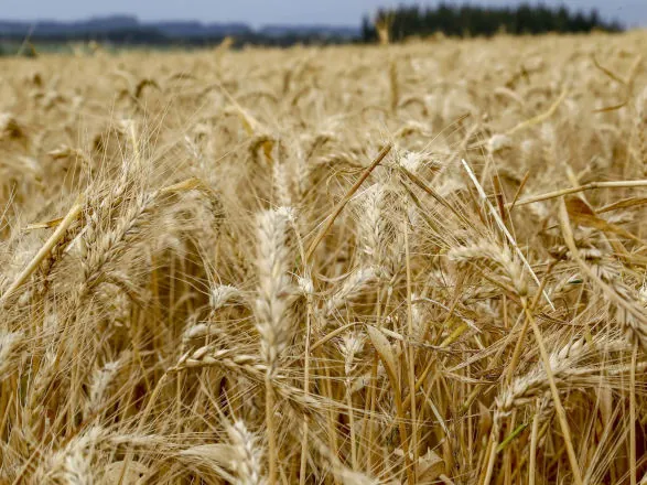 Valor Bruto da Produção Agropecuária do Paraná deve ultrapassar R$ 200 bilhões em 2025