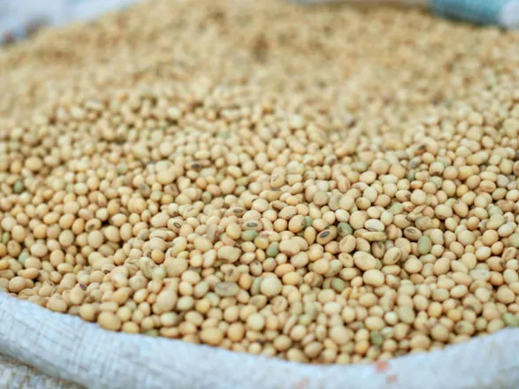 Agronegócio exporta US$ 13,4 bilhões em novembro e responde por quase metade das vendas externas do país