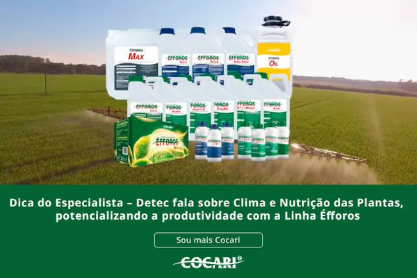 Departamento técnico da Cocari orienta sobre clima e nutrição das plantas, potencializando a produtividade com a Linha Éfforos