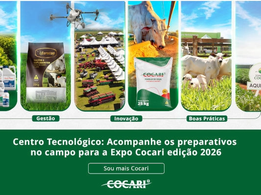 cocari 19 12 2025