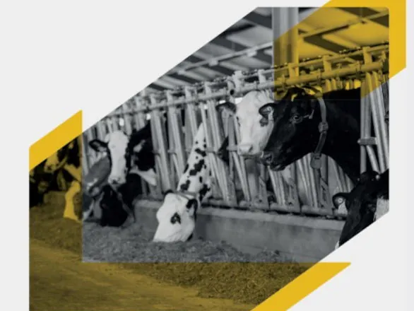 Capal lança Manual de Biosseguridade para sistemas de produção leiteira