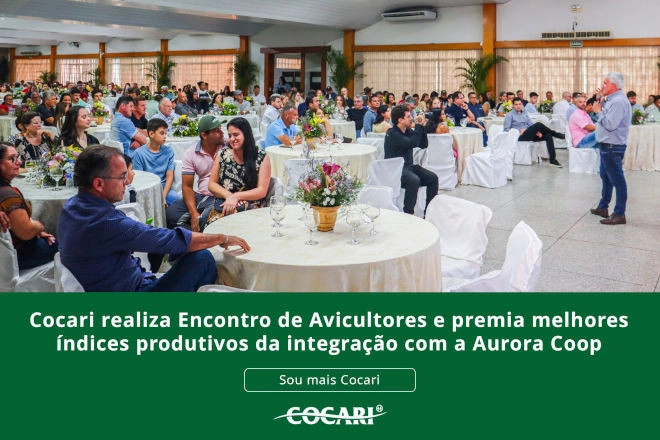cocari 29 12 2025