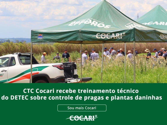 cocari II 29 12 2025
