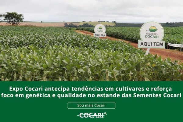 Expo Cocari antecipa tendências em cultivares e reforça foco em genética e qualidade