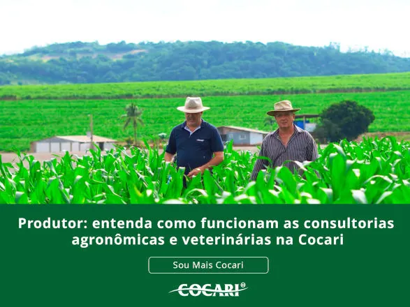 Cocari orienta produtores sobre o funcionamento das consultorias agronômicas e veterinárias