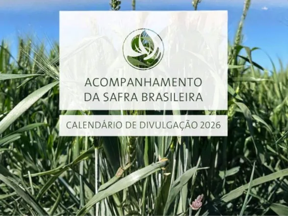 Conab divulga o calendário de 2026 de levantamentos das safras agrícolas e do mercado hortigranjeiro