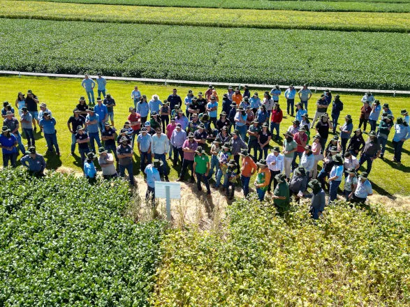 Ganho de produtividade pela pesquisa de cultivares é destaque do 35º Dia de Campo Copacol