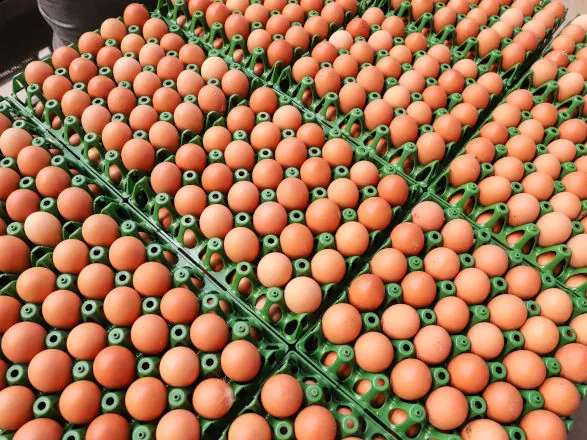 Preços de alimentos e bebidas caem pelo segundo mês consecutivo no Paraná