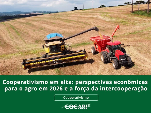 cocari 20 01 2026