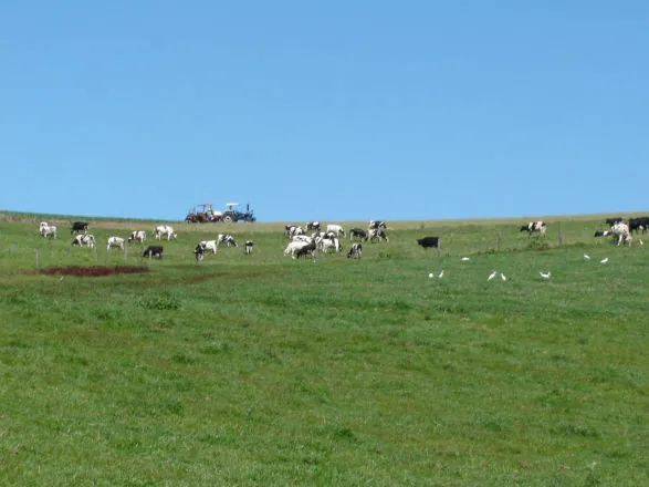 Mais de 440 mil produtores rurais regularizaram suas dívidas pelo Desenrola Rural