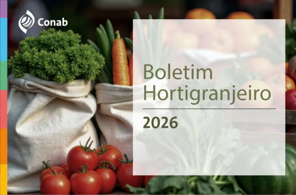 Mercado hortigranjeiro registra estabilidade nos preços da laranja e da maçã e elevação nas demais frutas e hortaliças