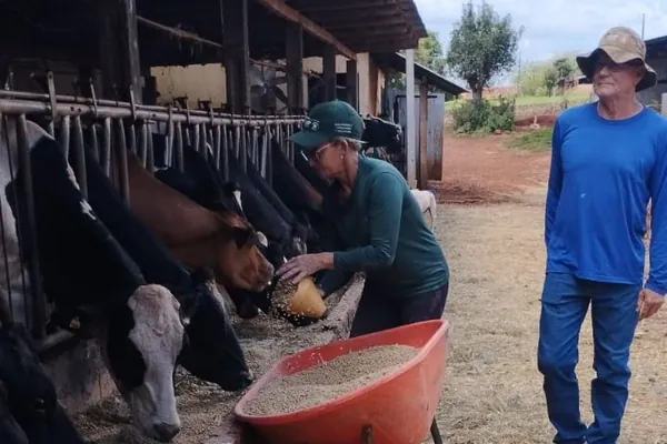 Melhorias do solo, pastagens e nutrição do rebanho fortalecem pecuária leiteira do Paraná 