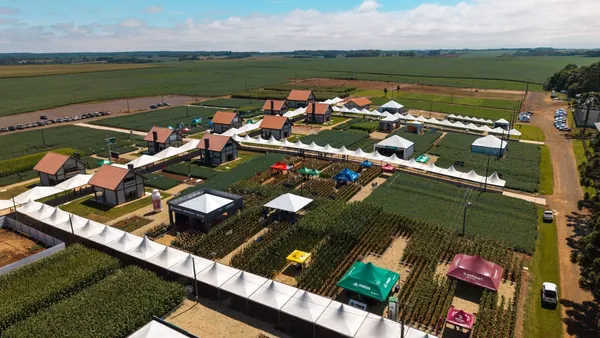Dia de Campo de Verão da Agrária destaca importância de commodities para rentabilidade do cooperado