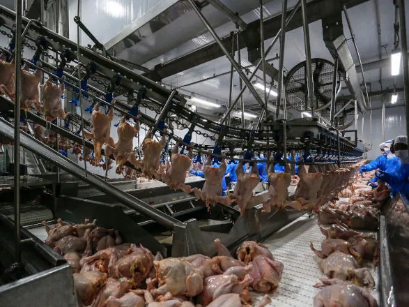 Adapar regulamenta cadastro de empresas para trabalho de inspeção de animais de corte