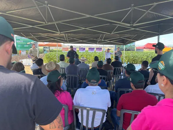 Cocamar: Dia de Campo em Amoreira leva atualização a produtores 
