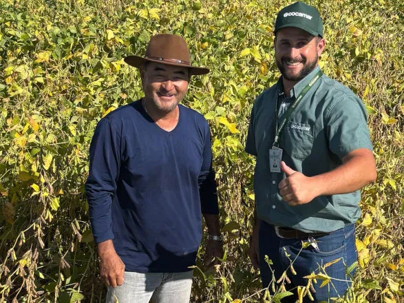 Rally: em Santa Cecília, produtores animados com o milho,  mas deve faltar janela para semear