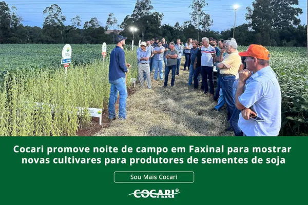 Cocari promove noite de campo em Faxinal para mostrar novas cultivares para produtores de sementes de soja