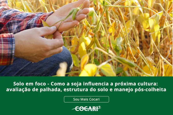 Solo em foco - Como a soja influencia a próxima cultura: avaliação de palhada, estrutura do solo e manejo pós-colheita