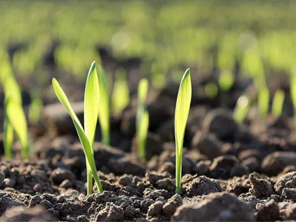 Governo Federal altera decreto que regulamenta a Lei de Fertilizantes para adequação à Lei do Autocontrole