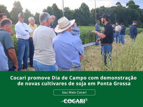 Cocari promove Dia de Campo com demonstração de novas cultivares de soja em Ponta Grossa