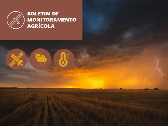  Chuvas concentram-se no Centro-Norte e favorecem lavouras, enquanto Sul registra menor volume e restrição à soja